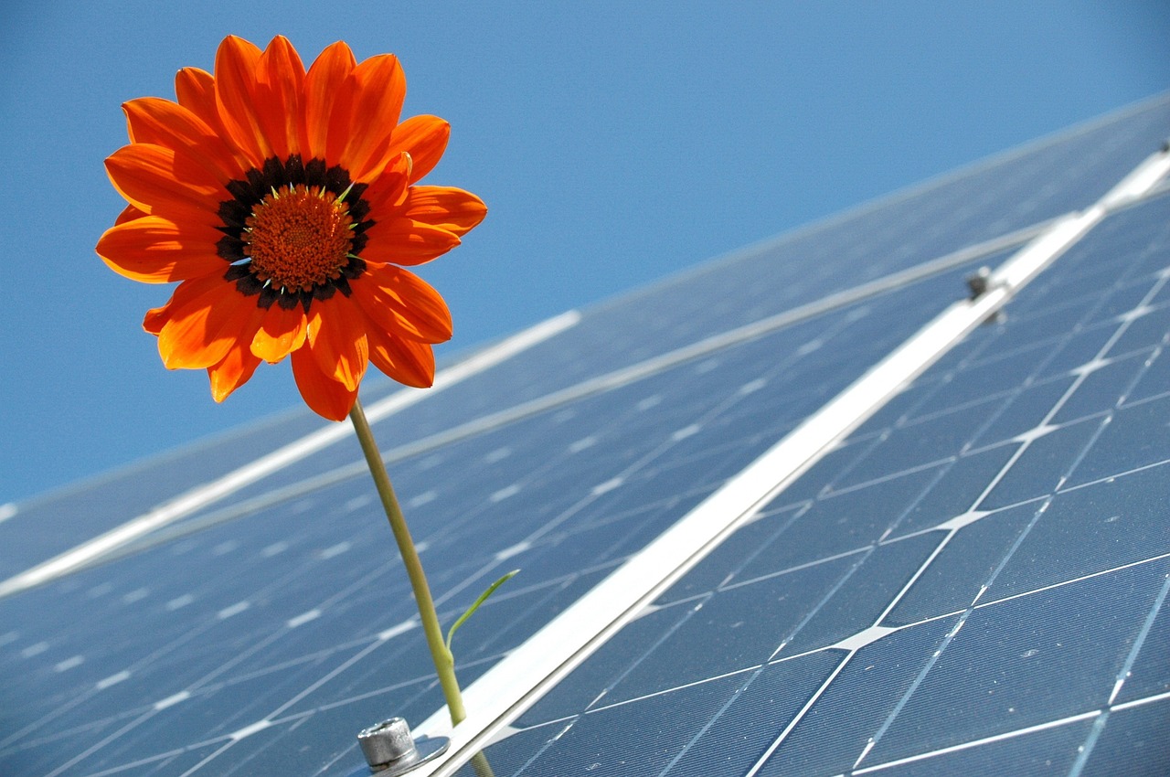 What Is The Difference Between On-grid And Off-grid Solar Power Systems?
